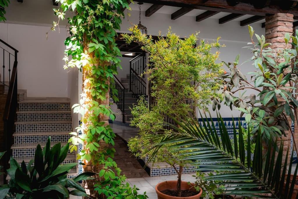 Qh Caldeleria Vieja Apartamento Granada Exterior foto